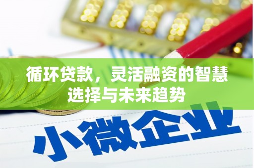 美溪循环贷款，灵活融资的智慧选择与未来趋势