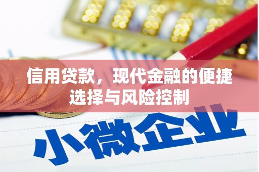 美溪信用贷款，现代金融的便捷选择与风险控制