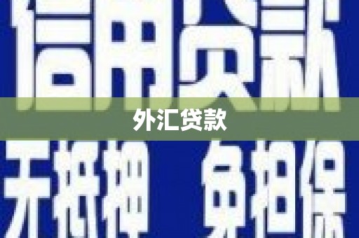 美溪外汇贷款