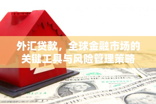 美溪外汇贷款，全球金融市场的关键工具与风险管理策略