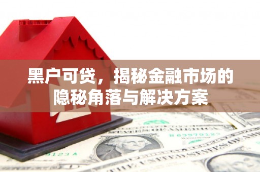 美溪黑户可贷，揭秘金融市场的隐秘角落与解决方案