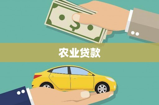 美溪农业贷款