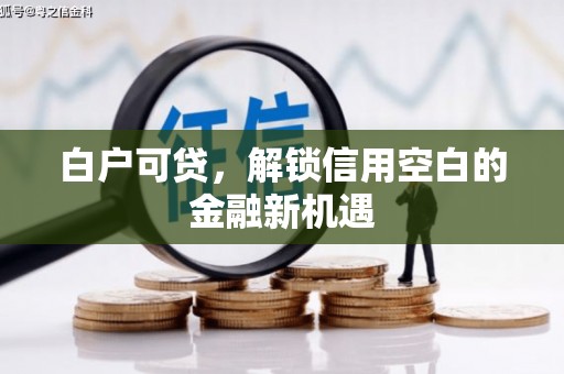 美溪白户可贷，解锁信用空白的金融新机遇