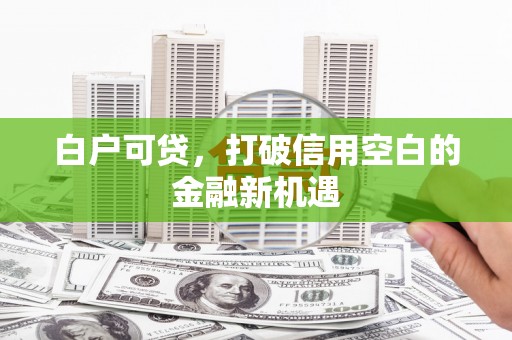 美溪白户可贷，打破信用空白的金融新机遇