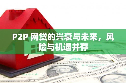 美溪P2P 网贷的兴衰与未来，风险与机遇并存