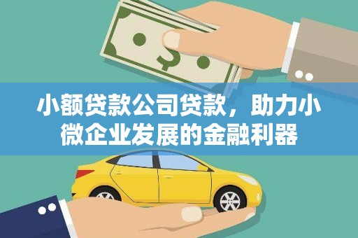 美溪小额贷款公司贷款，助力小微企业发展的金融利器
