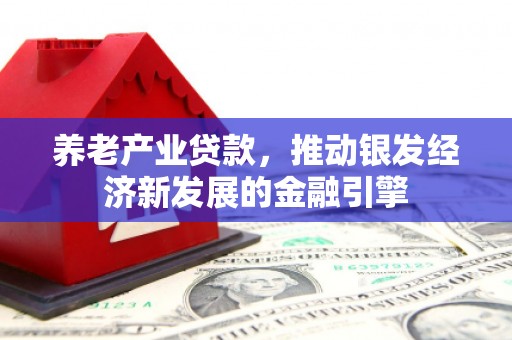 美溪养老产业贷款，推动银发经济新发展的金融引擎