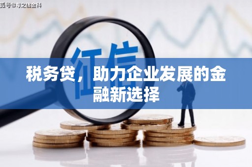 美溪税务贷，助力企业发展的金融新选择