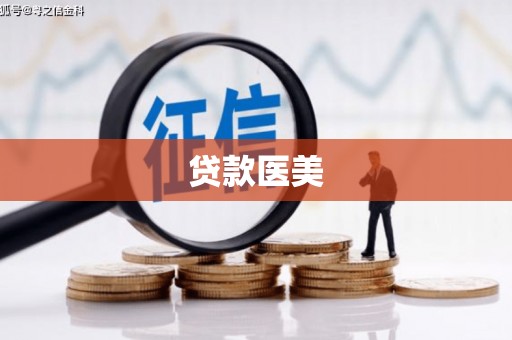 美溪贷款医美