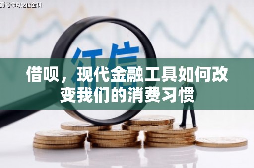 美溪借呗，现代金融工具如何改变我们的消费习惯