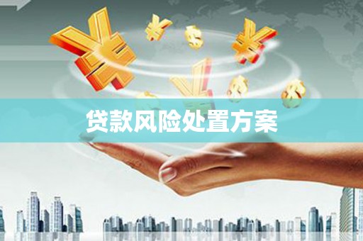 美溪贷款风险处置方案