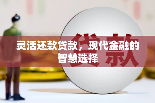 美溪灵活还款贷款，现代金融的智慧选择