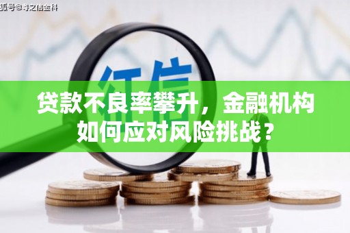 美溪贷款不良率攀升，金融机构如何应对风险挑战？