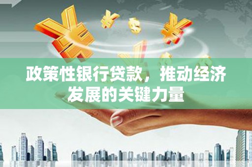 美溪政策性银行贷款，推动经济发展的关键力量