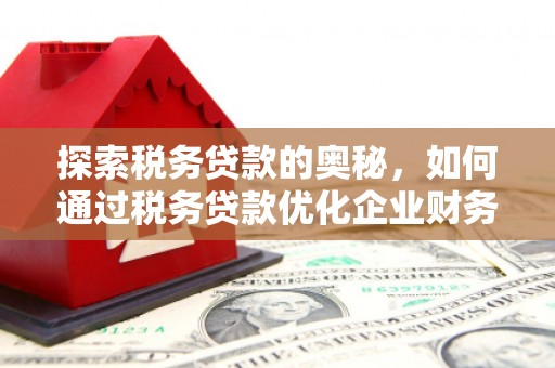 美溪探索税务贷款的奥秘，如何通过税务贷款优化企业财务
