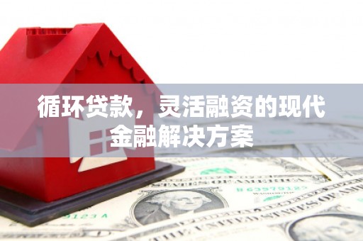 美溪循环贷款，灵活融资的现代金融解决方案
