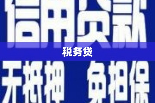 美溪税务贷