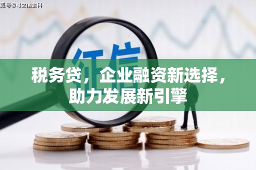 美溪税务贷，企业融资新选择，助力发展新引擎