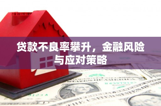 美溪贷款不良率攀升，金融风险与应对策略