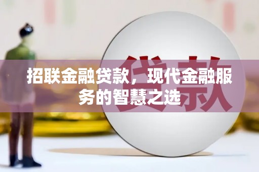美溪招联金融贷款，现代金融服务的智慧之选