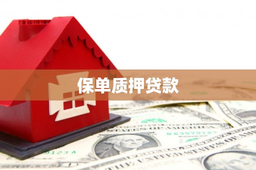 美溪保单质押贷款