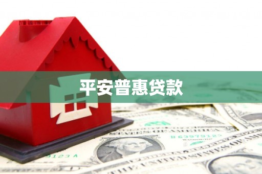 美溪平安普惠贷款