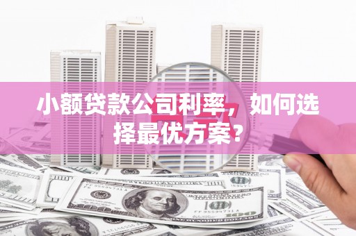 美溪小额贷款公司利率，如何选择最优方案？