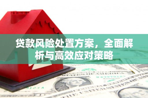 美溪贷款风险处置方案，全面解析与高效应对策略