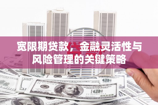 美溪宽限期贷款，金融灵活性与风险管理的关键策略