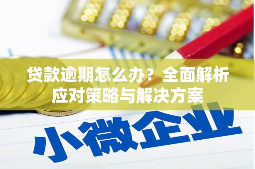 美溪贷款逾期怎么办？全面解析应对策略与解决方案