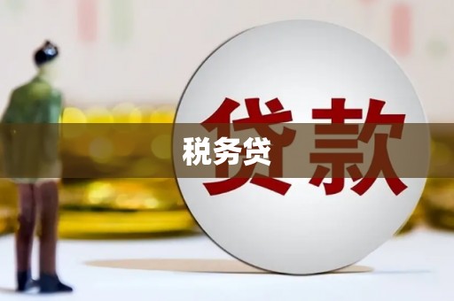 美溪税务贷