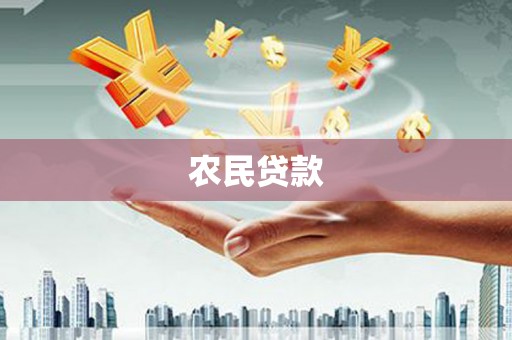 美溪农民贷款