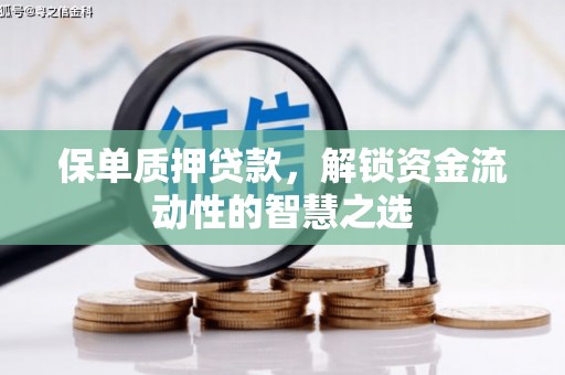 美溪保单质押贷款，解锁资金流动性的智慧之选