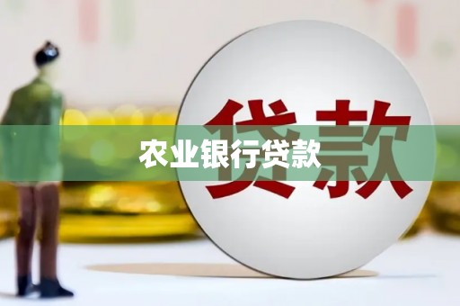美溪农业银行贷款