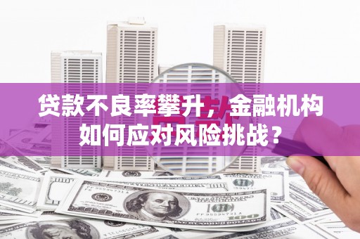 美溪贷款不良率攀升，金融机构如何应对风险挑战？