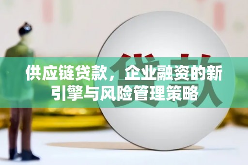 美溪供应链贷款，企业融资的新引擎与风险管理策略