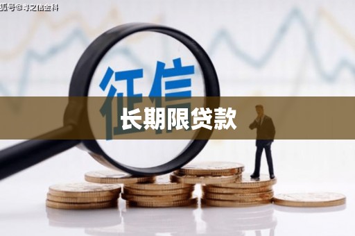 美溪长期限贷款