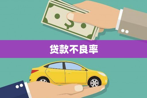 美溪贷款不良率