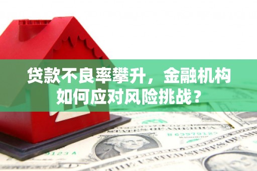 美溪贷款不良率攀升，金融机构如何应对风险挑战？