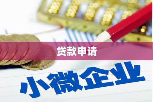 美溪贷款申请