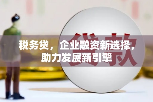 美溪税务贷，企业融资新选择，助力发展新引擎