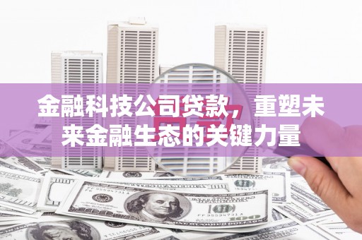 美溪金融科技公司贷款，重塑未来金融生态的关键力量