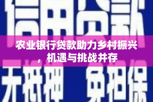 美溪农业银行贷款助力乡村振兴，机遇与挑战并存