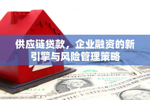美溪供应链贷款，企业融资的新引擎与风险管理策略