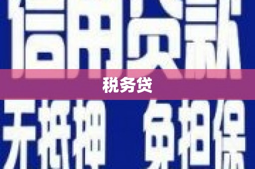 美溪税务贷
