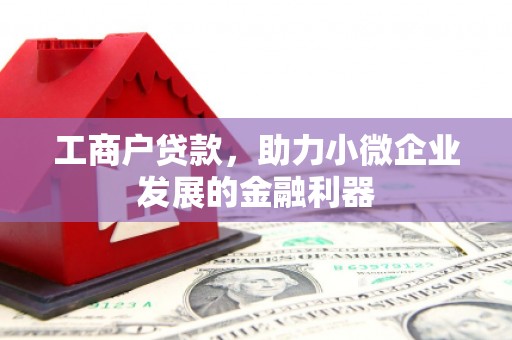 美溪工商户贷款，助力小微企业发展的金融利器