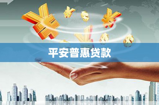 美溪平安普惠贷款
