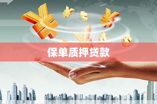 美溪保单质押贷款