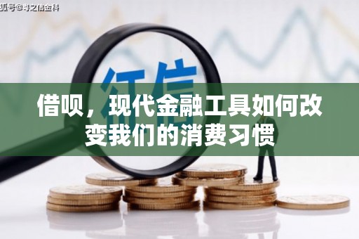 美溪借呗，现代金融工具如何改变我们的消费习惯