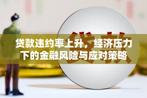 美溪贷款违约率上升，经济压力下的金融风险与应对策略